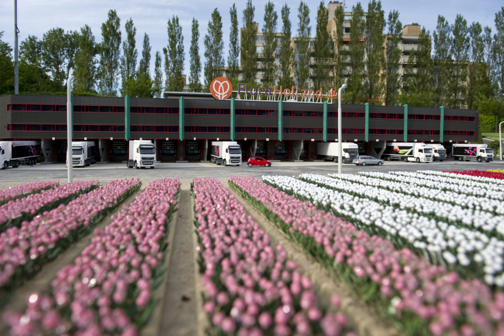 Royal FloraHolland in Madurodam
