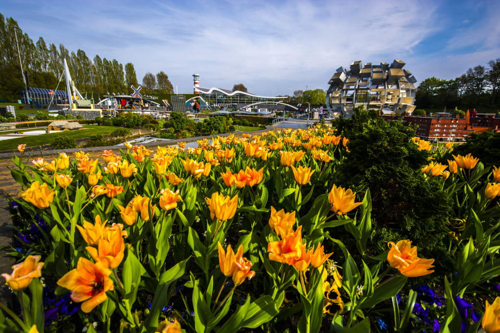 buitenactiviteit bloemen