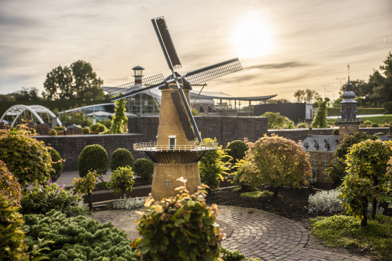 Molen de nieuwe palmboom