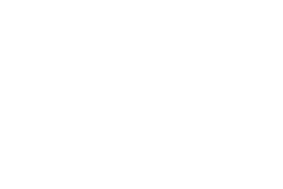 DIAP logo Madurodam Attractiepark staand (png)