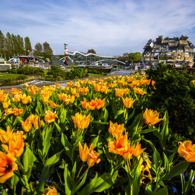 buitenactiviteit genieten van bloemen