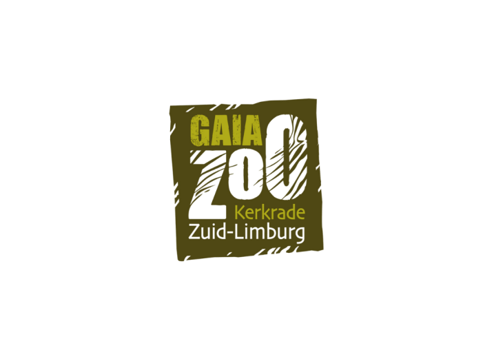 GaiaZOO 2022 outline