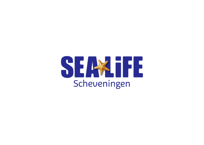 Sea Life